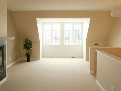 paint / plaster